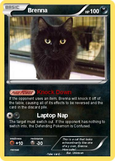 Pokemon Brenna