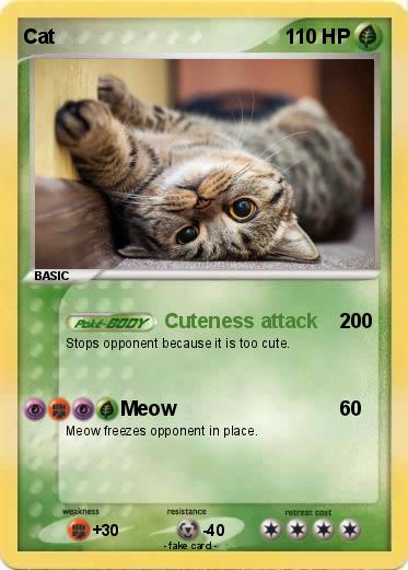 Pokemon Cat