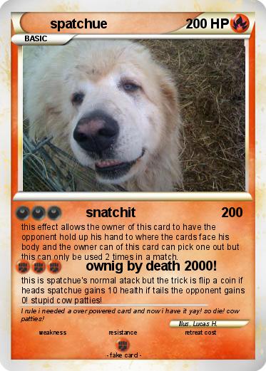 Pokemon spatchue