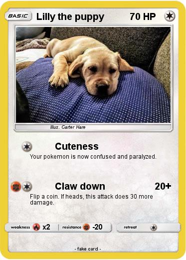 Pokemon Lilly the puppy