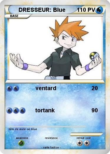 Pokemon DRESSEUR: Blue