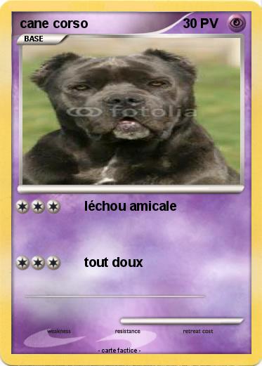 Pokemon cane corso
