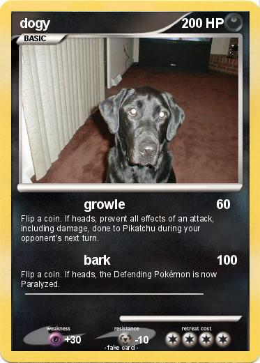 Pokemon dogy