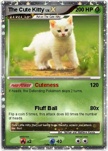 Pokemon The Cute Kitty