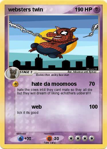 Pokemon websters twin