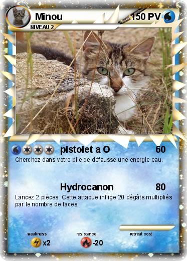 Pokemon Minou