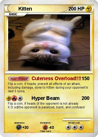 Pokemon Kitten