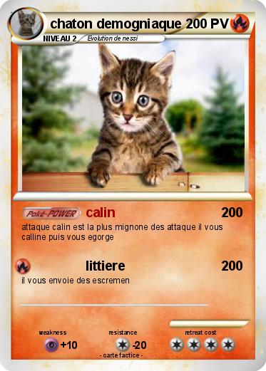 Pokemon chaton demogniaque