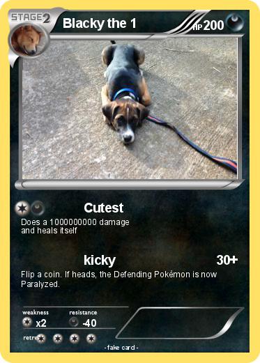Pokemon Blacky the 1