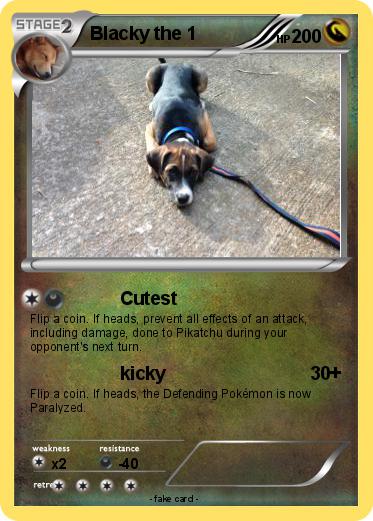 Pokemon Blacky the 1