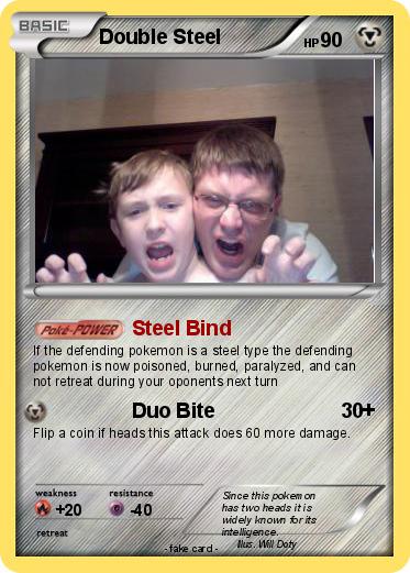 Pokemon Double Steel