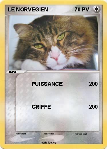 Pokemon LE NORVEGIEN