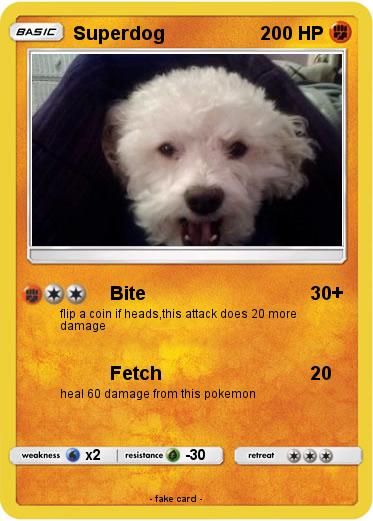 Pokemon Superdog