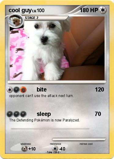 Pokemon cool guy