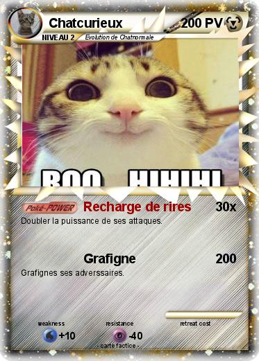 Pokemon Chatcurieux