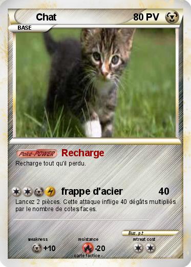 Pokemon Chat