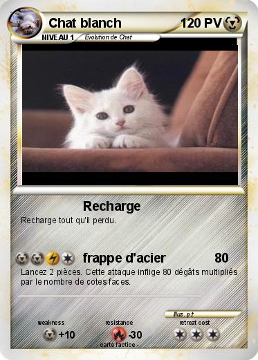 Pokemon Chat blanch