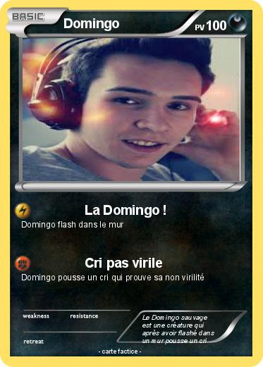 Pokemon Domingo