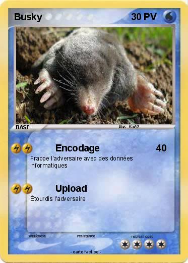 Pokemon Busky
