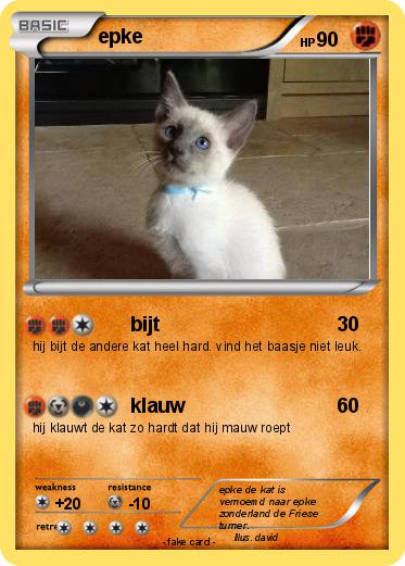 Pokemon epke