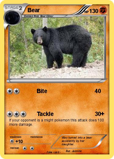 Pokemon Bear