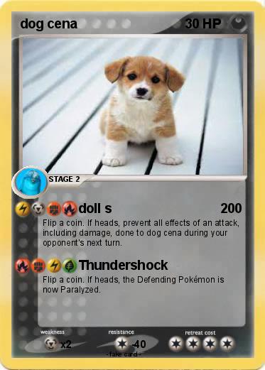Pokemon dog cena