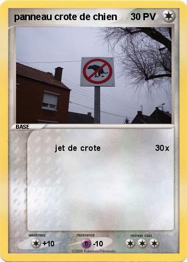 Pokemon panneau crote de chien