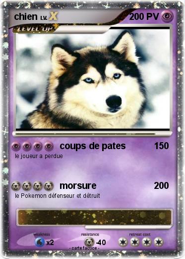 Pokemon chien