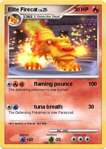 Pokemon Elite Firecat