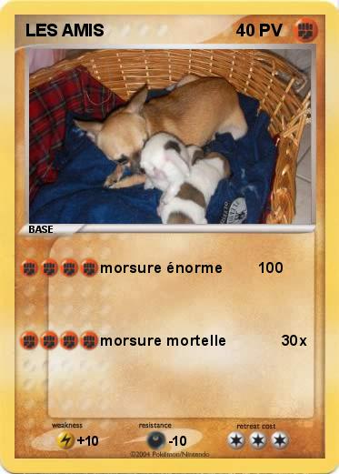 Pokemon LES AMIS