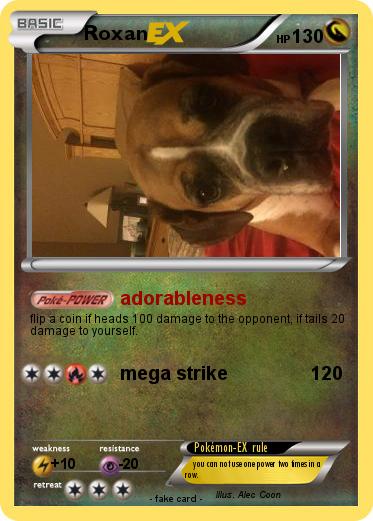 Pokemon Roxan