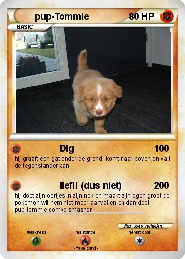 Pokemon pup-Tommie