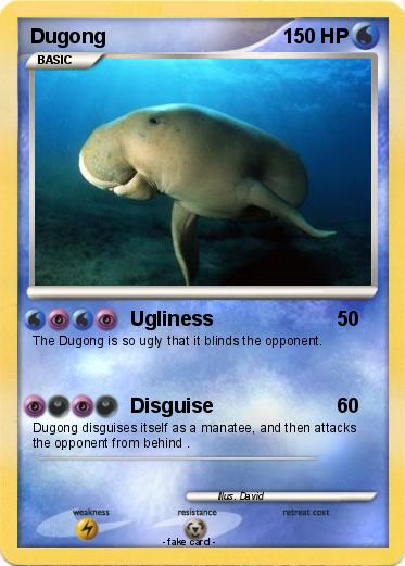 Pokemon Dugong