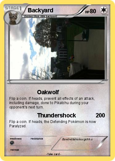 Pokemon Backyard