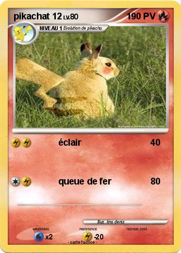 Pokemon pikachat 12