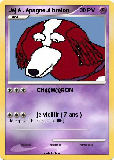 Pokemon Jéjié , épagneul breton