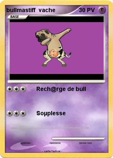 Pokemon bullmastiff  vache