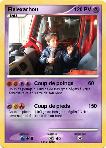Pokemon Flalexachou