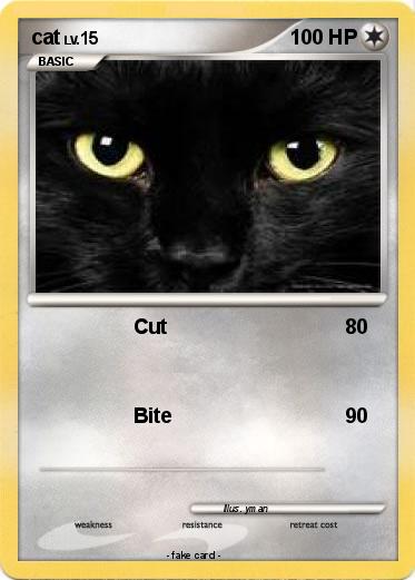 Pokemon cat