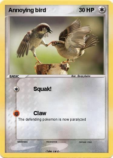 Pokemon Annoying bird