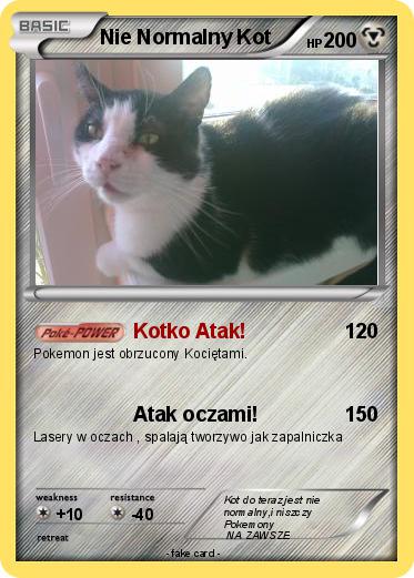Pokemon Nie Normalny Kot
