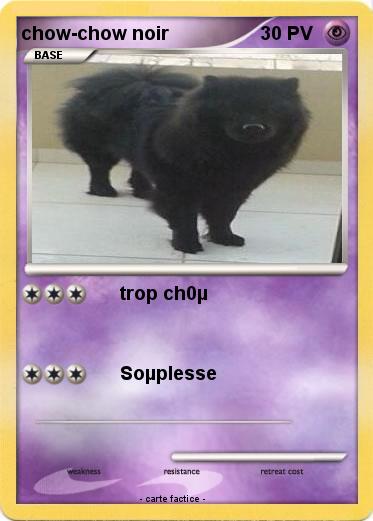 Pokemon chow-chow noir