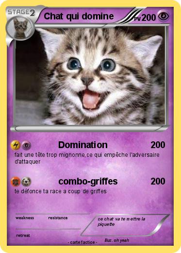 Pokemon Chat qui domine