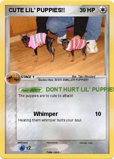 Pokemon CUTE LIL' PUPPIES!!