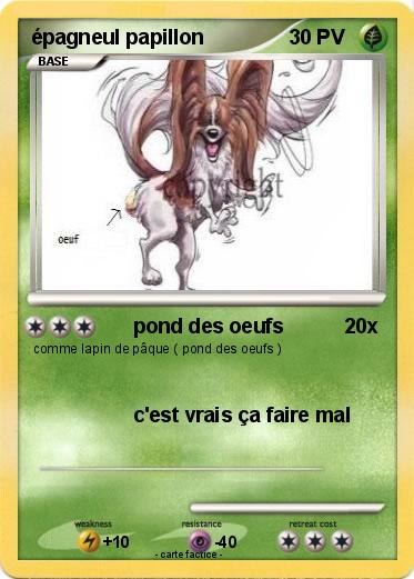 Pokemon épagneul papillon