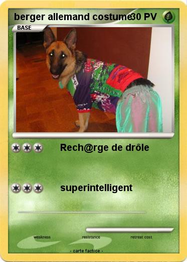 Pokemon berger allemand costume
