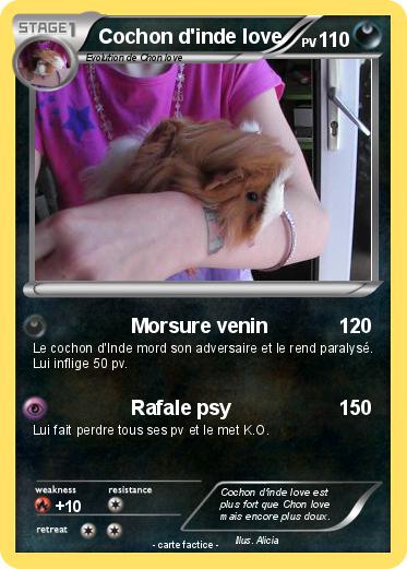 Pokemon Cochon d'inde love