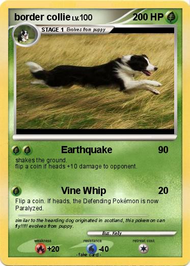 Pokemon border collie