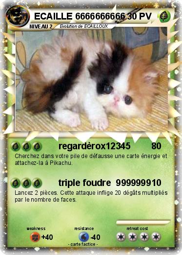 Pokemon ECAILLE 6666666666