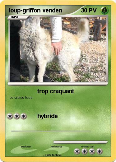 Pokemon loup-griffon venden
